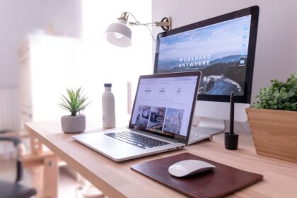 Monitorarm Dual