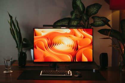 Monitor Arm