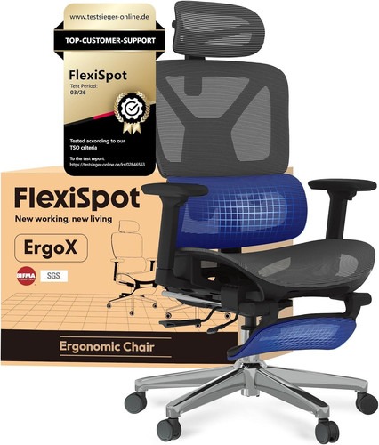 FLEXISPOT Ergonomischer Bürostuhl Schreibtischstuhl Mit Fußstütze,