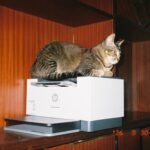 HP LaserJet MFP M234sdw Multifunktionsdrucker mit einem zusätzlichen Toner, platziert auf einem Schreibtisch im Home Office.