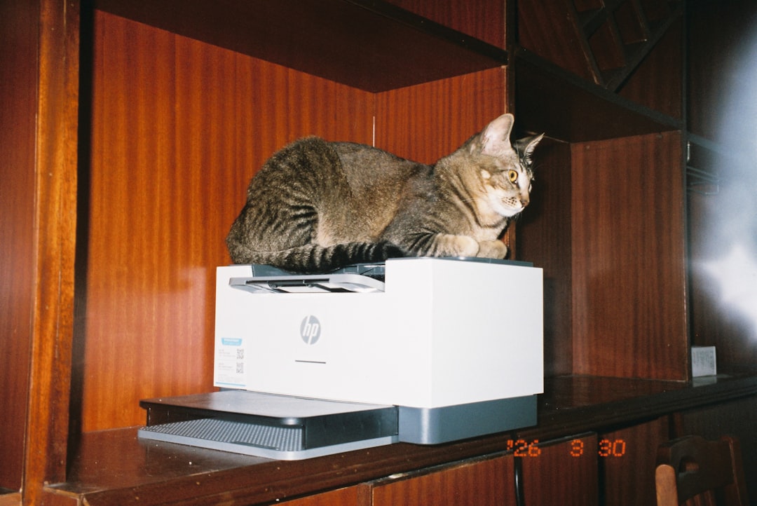 HP LaserJet MFP M234sdw Multifunktionsdrucker mit einem zusätzlichen Toner, platziert auf einem Schreibtisch im Home Office.