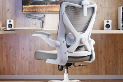 Bürostuhl Gaming Stuhl Ergonomisch mit Lordosenstütze
