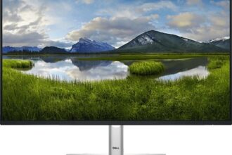 Dell Monitor P2425HE 23,8 Zoll 100Hz