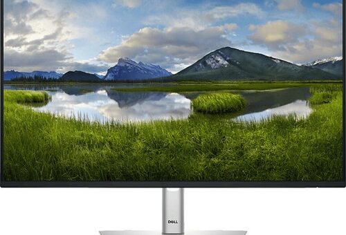 Dell Monitor P2425HE 23,8 Zoll 100Hz