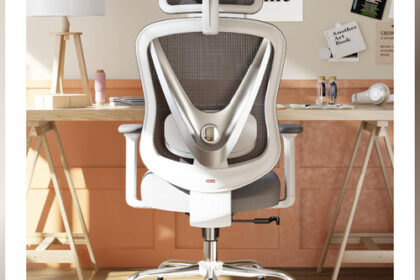 Bürostuhl Ergonomisch 3D Lendenstütze Verstellbare Armlehnen