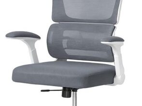 Ergonomischer Bürostuhl, Lendenwirbelstütze, höhenverstellbarer Chefsessel GREY