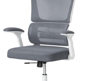 Ergonomischer Bürostuhl, Lendenwirbelstütze, höhenverstellbarer Chefsessel GREY