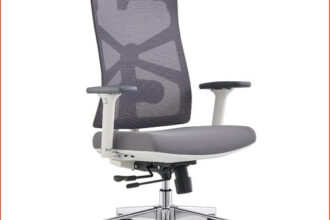 Bürostuhl Ergonomisch Mit Adaptiver Rückenlehne 4D