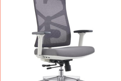 Bürostuhl Ergonomisch Mit Adaptiver Rückenlehne 4D
