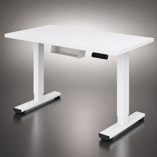FLEXISPOT Basic Schreibtisch 120x60cm höhenverstellbar elektrisch